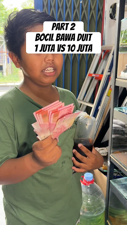 Part2/ Bocil Duit 1 Juta Vs 10 Juta Beli ikan Channa #channafish #channa #ikan #ikanhias #fish