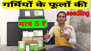 मात्र 5 रुपये के पौधेsummer flower seedlingcheapest seedling in indiabest summer flowersummer|