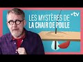 Pourquoi a-t-on la chair de poule ? Jamy nous explique | C Jamy