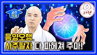 음양오행, 사주팔자 다 파헤쳐 주마 - 교리천재(합본)