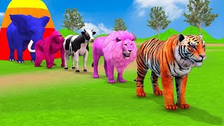 Long Slide Game With Elephant Gorilla Buffalo Hippopotamus Tiger  3d Animal Game  Funny 3d Animals