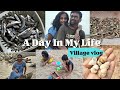 💁‍♀️🌅🐟చిన్న చాపలు/ DIML summer village vlog/ అన్నారం బ్యారేజీ/ Vankaya varagulu, sand toys, fish fry