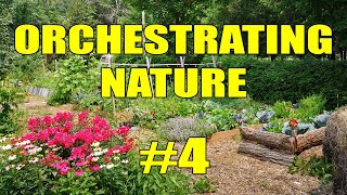 Raised Garden Beds on a Budget | Orchestrating Nature #4