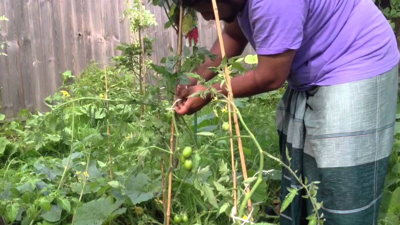 Charlotte's Farms urban garden in Brooklyn