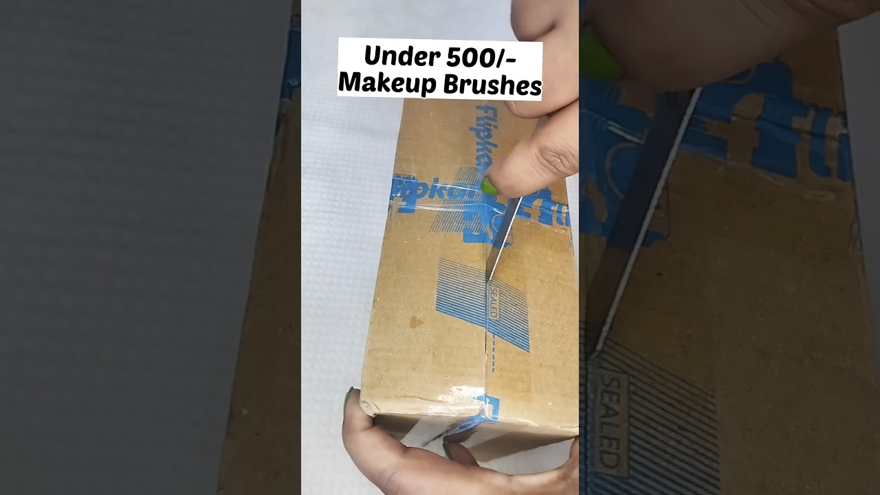 Under 500/- Makeup Brushes 
