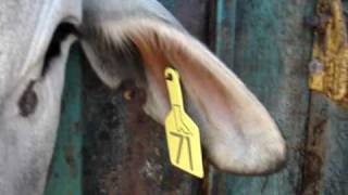 How to fit a Supertag...