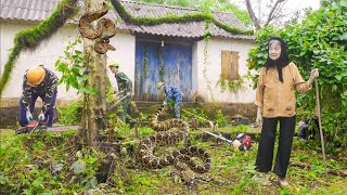 HORRIBLE CLEANING:Help A 90-Year-Old Woman Clean An Abandoned House Cursed With Snakes For 100 Years