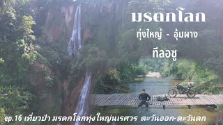 ep.16 เที่ยวป่า มรดกโลก ทุ่งใหญ่นเรศวรด้านตะวันออก-ด้านตะวันตก อุ้มผาง -ตาก -ทีลอซู