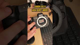Canon EOS R High Burst Mode ASMR!📸😮 #canon #photography #asmr #satisfying