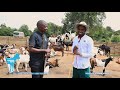 Learn how to set up a Goat Farm - Obed Ben | YPA