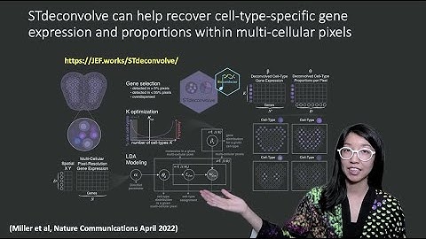 Reference-free cell type deconvolution of spatial transcriptomics data with STdeconvolve