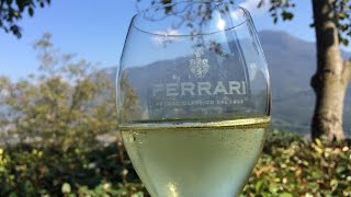 Italian winemakers find global warming ...
