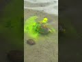 🎣 CRAZY FISH BITE! 😱 You Won't BELIEVE What Happened! 🤯 #fishing #bait  #carpfishing #carp #angeln
