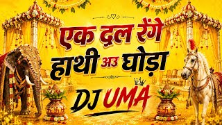 EK DAL RENGE HATHI AU GHODA || 150 BPM EDM MIX || DJ UMA || CG SADI SONG || 