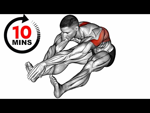 10Min Morning Exercise Workout (Stretching and Flexibility)