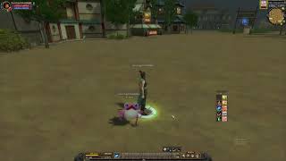 Ability Pet : Ball Dragon A , Silkroad Online