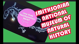 SMITHSONIAN NATIONAL MUSEUM  OF NATURAL HISTORY WASHINGTON DC USA