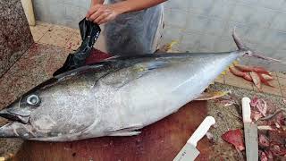 $200 Tuna Cutting Super Fast Skilled Master। Whole Frozen Tuna Cutting Ways|| Tuna Cutting