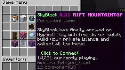 joining hypixel skyblock for the first time after 2 years