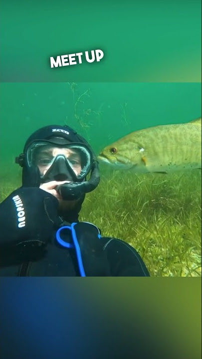 Pria ini bersahabat dengan seekor ikan ❤️ @Rex Colubra’s All-Animal Channel