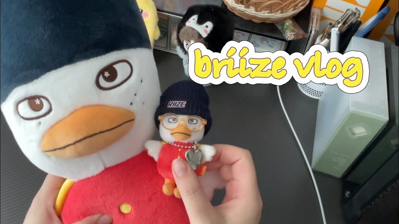 [브리즈 브이로그] 11월 깡 모음 • 또프 • 반택깡 • 택배깡 • 팬콘엠디 • 디아이콘