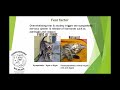 Quantifying post-trauma stress in macropods - Prof Steve Garlick & Dr Rosemary Austen