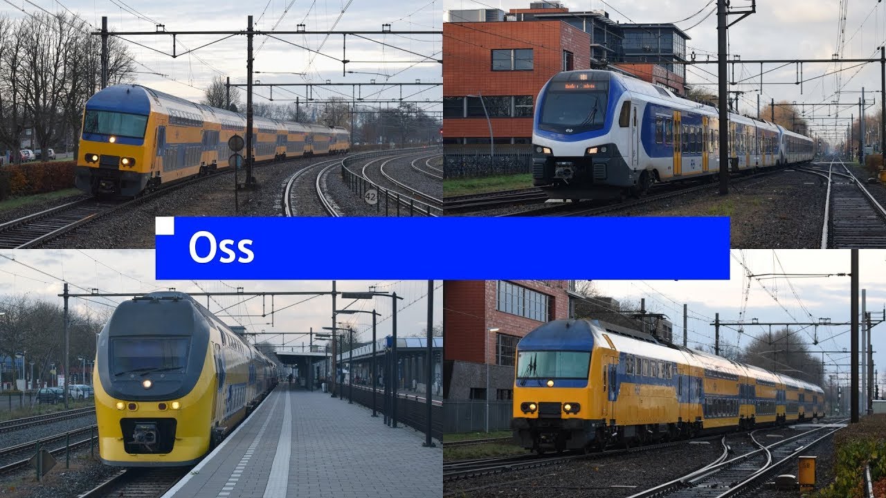 Treinen op station Oss