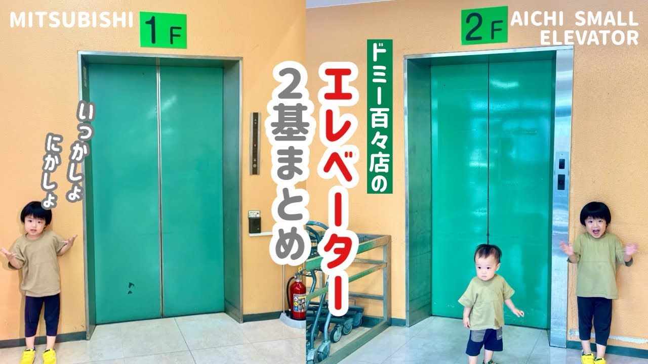 Day 377] Elevator at Domy Momo store (2 locations combined