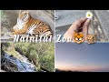 Nainital Zoo vlog🐒 || Waterfall 🏞️ ||~ Vlog 4