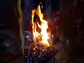 Hawan Yagya Yagyanusthan Puja Shivratri