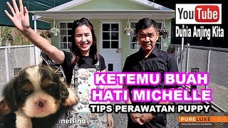 TIPS CANTIK MERAWAT ANAK ANJING BERSAMA CICI CANTIK MICHELLE