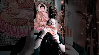 Colors of the wind (Pocahontas) panflute cover #flutemusic #flute #music #bamboo