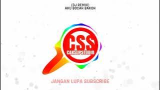 DJ REMIX AKU BOCAH BAKOH VIRAL 2021