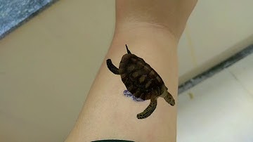 HD tạo động vật thực tế ảo với app Animal 4D+ | ứng dụng hay nên cài