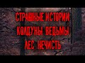 Страшные истории про лес ведьм, необъяснимые явления  заброшенные места. Мистика Zvook. Олег Ли