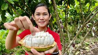 Sariling Harvest, Tree to Bar Chocolate with Pilinut, Talo ang Imported!