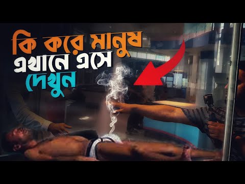 ভিডিও: বিনোদনমূলক বিজ্ঞানের অনন্য যাদুঘর 