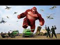 King kong best action movie 2024  king kong vs army  jurassic park fanmade film  teddy chase