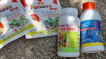 Thuốc trị mọt cành,rệp sáp, kiến hiệu quả cao