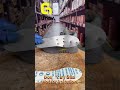 Extreme Safety Shoes Drop & Crush Test #workshoes #shoes #safetyshoes #construction #guyisa