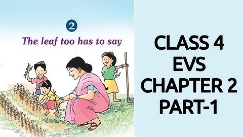 CLASS 4 (SCERT) EVS CHAPTER- 2 "The Leaf too has to say" PART 1
