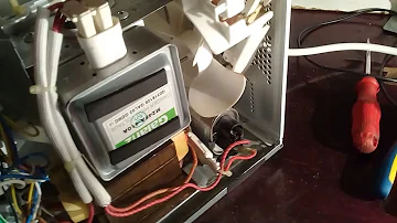 Pode ligar microondas 220 em 110?