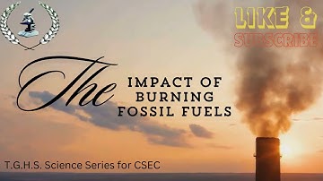 The Impact of Fossil Fuels on the Environment