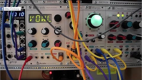 Braids - Turing Machine - Bees in the Trees alternative firmware