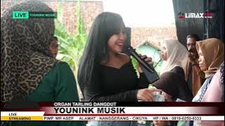 Download lagu TUMARIMA - TETTY ADITIA || YOUNINK MUSIK Live Dukuh Kopi 19 April 2024