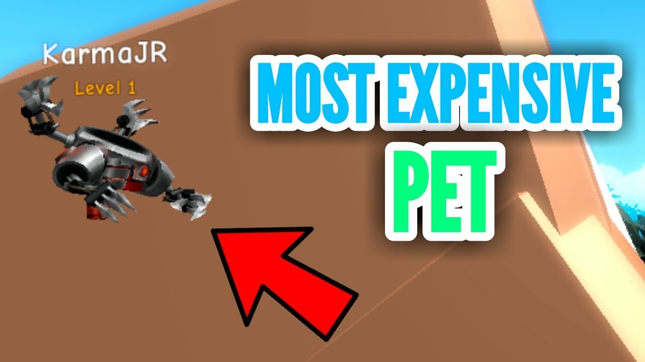  3 CODES BUYING THE MOST EXPENSIVE PET Weight Lifting Simulator 3 ROBLOX YouTube