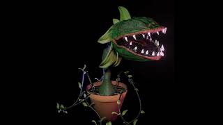 Audrey II Little Shop of Horrors 3D