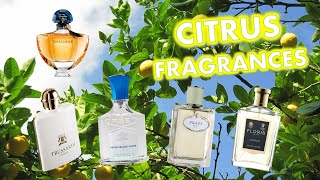 BEST CITRUS FRAGRANCES FOR SUMMER 🍋 TOP 5 FRESH CITRUS PERFUMES l PERFUME COLLECTION 2022