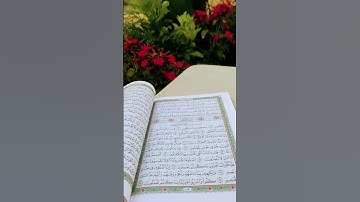قرآن كريم #محمد_الفقية #سورة #قران_كريم #اكسبلور #تلاوة_خاشعة #duet #رمضانمبارك #تيك_توك #الرحمن