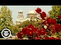 Розы Болгарии. Документальный фильм (1970)